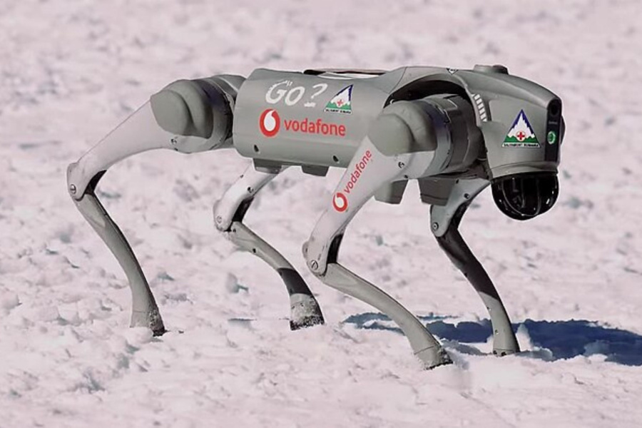 Stap in de rol van robotbestuurder en laat een humanoïde robot of een robothond tot leven komen.