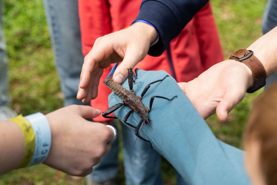 Van moordmachines met zes poten tot meesters van vermomming. Ontdek de zotte wereld van insecten!
